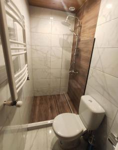 卡兹贝吉Mansarda Kazbegi的一间带卫生间和淋浴的浴室