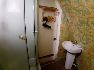 PetrovoCave Sorceress Gingemma的一间带卫生间和水槽的小浴室