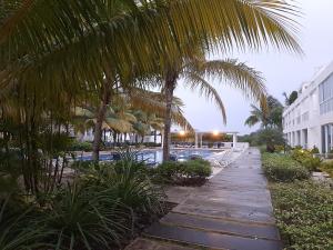 里奥阿托Relajate en un hermoso apartamento Duplex cerca de la playa y piscina en Playa Blanca, Farallon的一座棕榈树游泳池,位于大楼旁