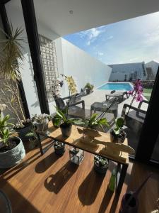 蓬塔德尔加达Praia de Santos, Exclusive Villa, Açores的阳台配有桌子和盆栽植物