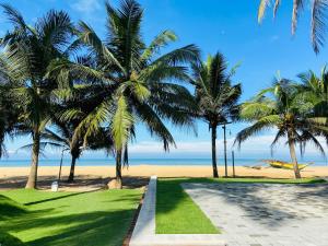尼甘布金色星海滩酒店的一条通往棕榈树海滩的路径和飞机