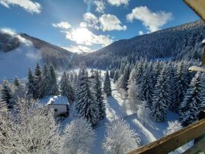 福尔加里亚Rifugio Di Pace的享有雪覆盖的山林美景