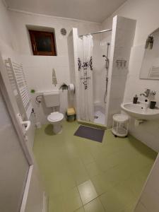 耶塞尼克Penzion Emílie的浴室配有卫生间、淋浴和盥洗盆。