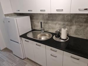 新苏尔Apartament Nova przy S3的厨房配有水槽和冰箱