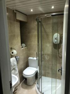 布莱克浦Fox lodge的一间带卫生间和玻璃淋浴间的浴室