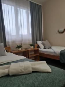 皮罗特Garni hotel Alma的酒店客房设有两张床和窗户。