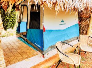 圣若热岛Coruja EcoGlamping的帐篷前设有两把椅子