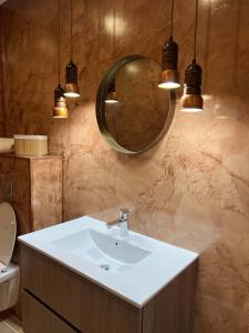 茹瓦尼Bel appartement au centre du vieux Joigny的一间带水槽和镜子的浴室