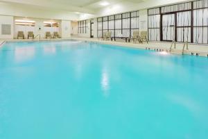 多伦多多伦多中心假日酒店的蓝色海水大型游泳池