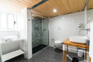 佩奥拉Monreal Boutique Townhouse - R024RM6的带淋浴、盥洗盆和卫生间的浴室