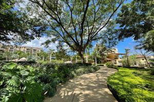 塔马林多Hotel Tamarindo Diria Beach Resort的一条穿过公园的小路,树和植物