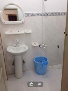 MingoraFR Darya E Swat Hotel的一间带水槽和淋浴的小浴室