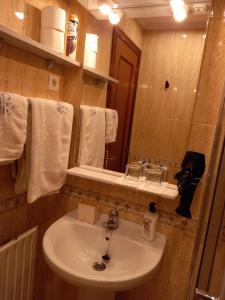 毕尔巴鄂Suite Bilbao Arena con plaza de garaje的浴室配有盥洗盆、镜子和毛巾