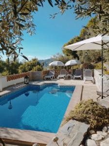 弗里希利亚纳Casa Rural Las Molina的庭院内带椅子和遮阳伞的游泳池