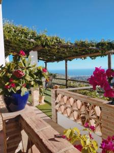 弗里希利亚纳Casa Rural Las Molina的鲜花盛开的花园,凉亭