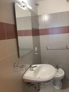 拉奎拉Hotel Cristallo Gran Sasso的浴室设有白色水槽和镜子