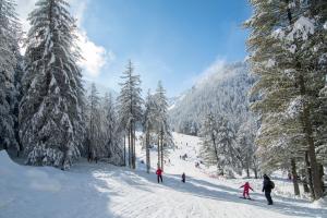 戈韦达尔齐Hotel Malyovitsa的一群人沿着雪覆盖的斜坡滑雪