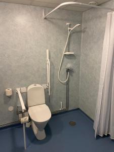 利雪平Broholm Bed&Breakfast的一间带卫生间和淋浴的浴室