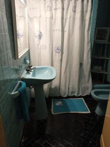 洛博斯El Descanso的一间带水槽和淋浴帘的浴室