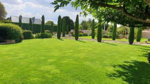 Pontlevoy圣艾洛住宿加早餐旅馆的绿树成荫的大院子