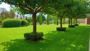 Pontlevoy圣艾洛住宿加早餐旅馆的草场上的一群树木