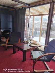 莫伊西德约斯Cabanuta din munti的客厅配有桌椅和电视。