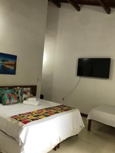 阿拉亚尔达茹达Pousada Flor do Arraial的一间卧室配有一张床和一台平面电视