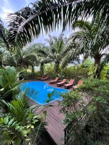 考索Khaosok Good view Resort - SHA PLUS的一个带躺椅和木甲板的游泳池