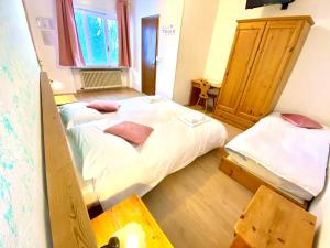 塞尔瓦迪卡多雷Hotel B&B Lorenzini Ski的小房间设有两张床和一张书桌