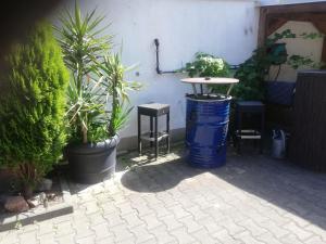 达姆施塔特Apartment-EG-04的一个带植物和桌椅的庭院