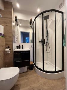 杜什尼基-兹德鲁伊Apartament Wspomnienie的带淋浴、卫生间和盥洗盆的浴室