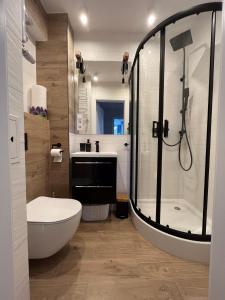 杜什尼基-兹德鲁伊Apartament Wspomnienie的带淋浴、卫生间和盥洗盆的浴室