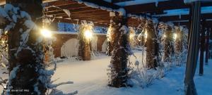 Chełmsko ŚląskieNoclegi Szymrych的一排被雪覆盖的树木,有灯光