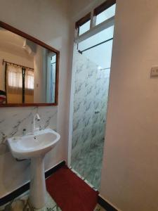 帕杰SawaSawa Lodge Paje的浴室配有盥洗盆和带镜子的淋浴