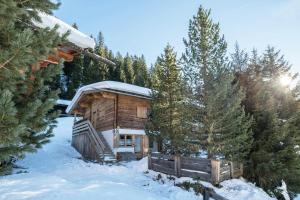 霍弗根Hochfügenblick-erholung für Zwei的雪中树林里的小木屋