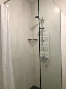 基辅Apart Assistant on Smart Plaza的淋浴间设有玻璃门和淋浴帘