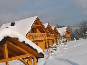 耶维克Domki Wypoczynkowe Zadzielanka的雪中一排木屋