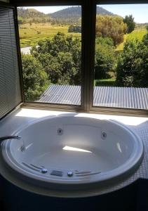 里士满Red Brier Cottage Accommodation的窗户客房内的大浴缸