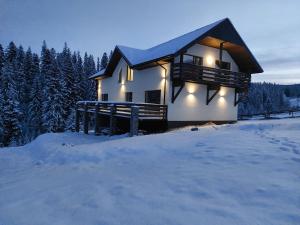 沃罗赫塔Котедж у горах "Місце Сили"的雪中的房子,灯亮