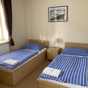 比尔森Hotel U námořníka的卧室内配有两张单人床,墙上挂着一幅画