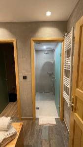 美特索文Adryades luxury apartments的一间带步入式淋浴间的浴室
