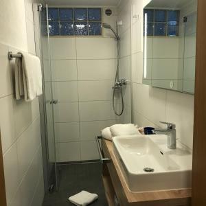 罗伊特嘎斯霍夫豪斯普酒店的一间带水槽和淋浴的浴室