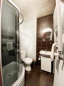 利沃夫利沃夫旅馆的带淋浴、卫生间和盥洗盆的浴室