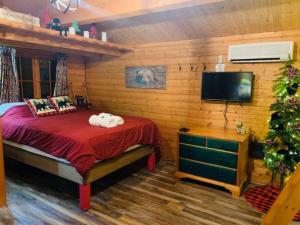 海沃德Honeybear Hideaway Cabin的一间卧室配有一张床和一台平面电视