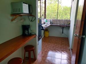 Rio CelestePosada Rural Río Celeste的一间带水槽和微波炉的小厨房