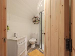 彭里斯The Stag - Crossgate Luxury Glamping的一间带卫生间和水槽的浴室