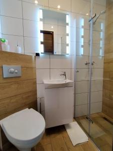 布伦纳Pokoje Gościnne Perła的浴室配有卫生间、盥洗盆和淋浴。