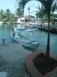 巴亚希贝Hotel Tipico Maura的一条船停在棕榈树旁边
