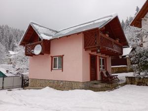 亚列姆切Holiday Home Melodiya Karpat的雪中的一个粉红色小房子