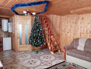 亚列姆切Holiday Home Melodiya Karpat的客厅角落的圣诞树